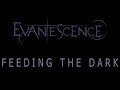 Evanescence Feeding The Dark Lyrics The Bitter Truth