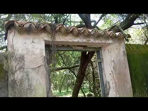 Estancia Fazenda Antiga no interior de Lavras do Sul RS
