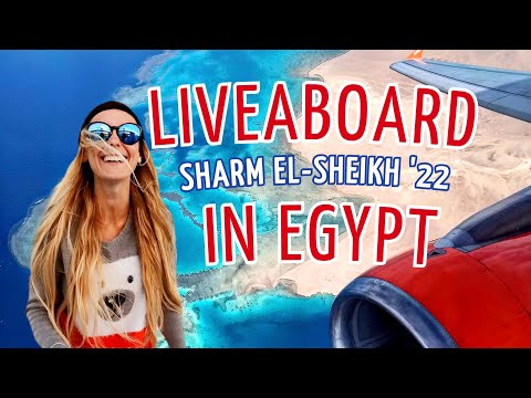 LIVEABOARD in Egypt RED SEA - scuba diving in Sharm El-Sheikh - 2022 - 4K