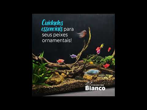 Piscicultura Bianco Paicandu PR