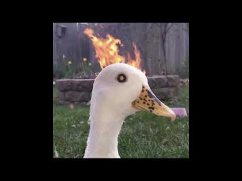 Diamondsonmydick x The Khan - Pourin' Up Texas (prod. SHANE CLAY x DOMD x KHAN)