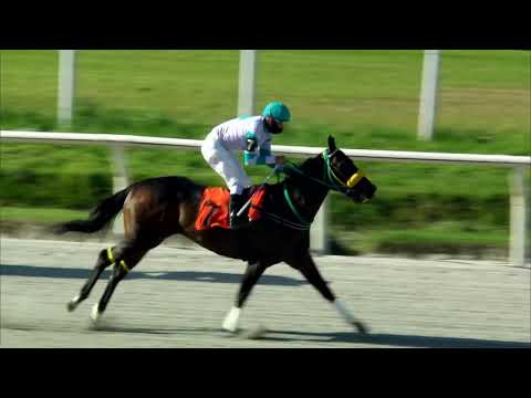 201115 c07 UN PERVERSO