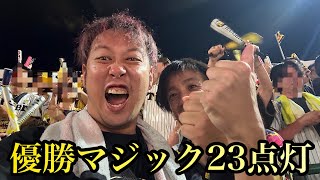 【現地78試合目】森下の死球怖かった…阪神天王山連勝で優勝マジック23点灯やー！