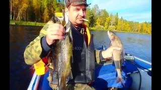 Ловля хариуса в карелии летом