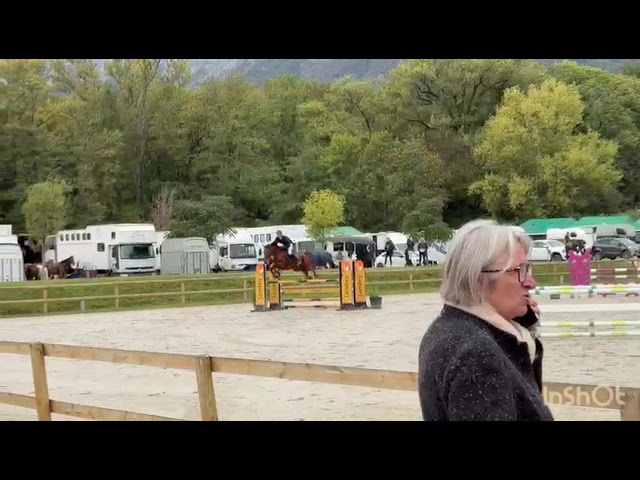 Jument 5 ans - Respect - Sang - Moyen Am Elite