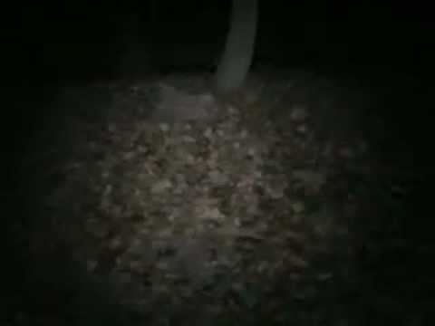 Valley Forge Video 1