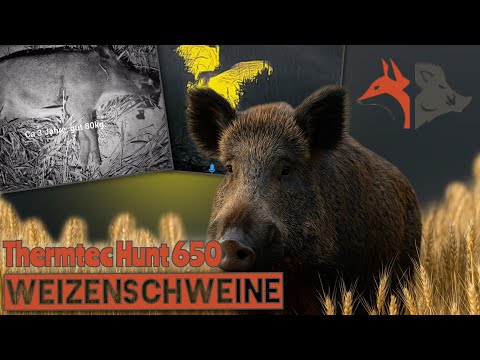 WEIZENSCHWEINE|ThermTec Hunt 650|Jagd|thermalhunt