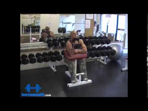 One Arm Dumbbell Hammer Preacher Curl