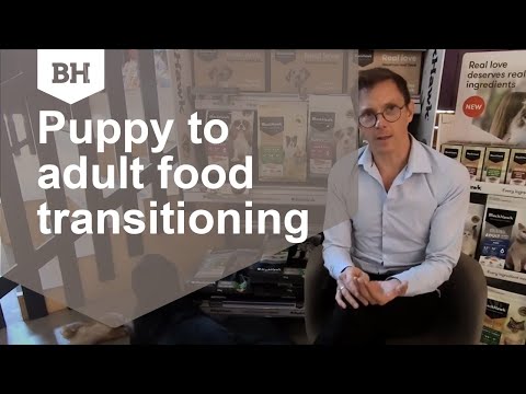 When should I transition my puppy from puppy food to adult dog food?