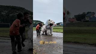 Download lagu Dijadikan Lalapan Can Macanan Oleh Pamannya mp3