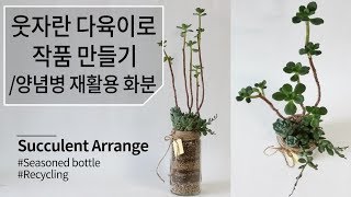 [Succulent Arrange] 웃자란 다육이로 작품 만들기, 양념병 재활용 화분 189화 #해맑은TV