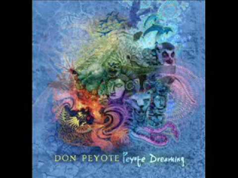 Don Peyote - 2012 A Dub Odyssey