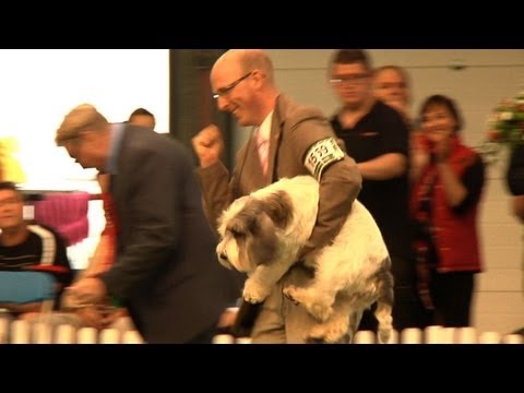 Around the Dog World - Best of 2012 Exteneded Director's Cut