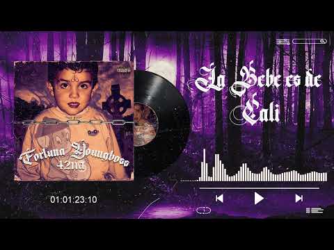 La Bebé Es De Cali - 42NA (Visualizer Oficial) | FORTUNA YOUNGBOSS