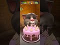 Cat Funny Videos Cat Funny Youtube Shorts Cats Status For Watsapp Shorts