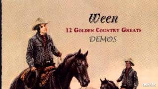 Ween - You Were The Fool (4track demo)