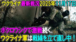【ウクライナ戦況】25年11月17日。