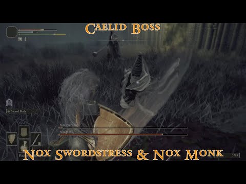Elden Ring - Nox Swordstress & Nox Monk