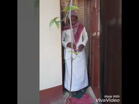 Lava Lava x Ricardo momo _ Ya ramadhan (Official video)