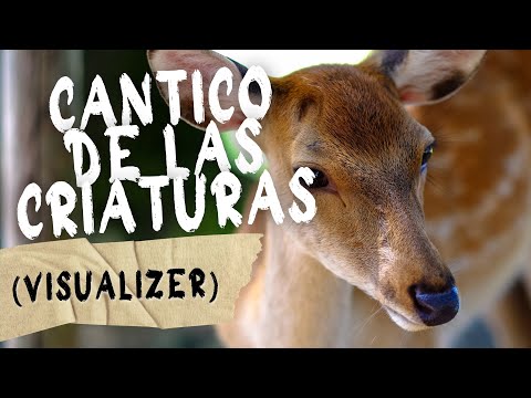 Cántico De Las Criaturas - Emanuel Etchegaray