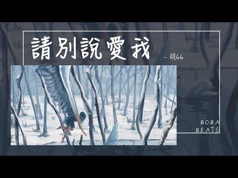 胡66 - 請別說愛我『請別說愛我 請別說你也難過』【Lyrics Video】