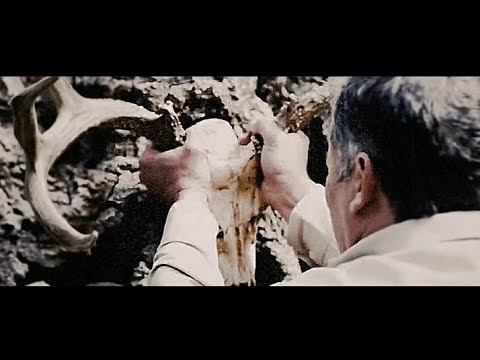 PLVGUES • PLΛNΣS ØV NΛV