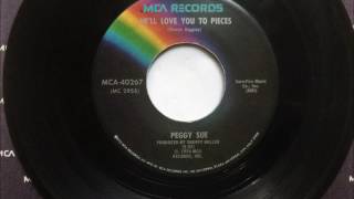 He'll Love You To Pieces , Peggy Sue , 1974 45RPM