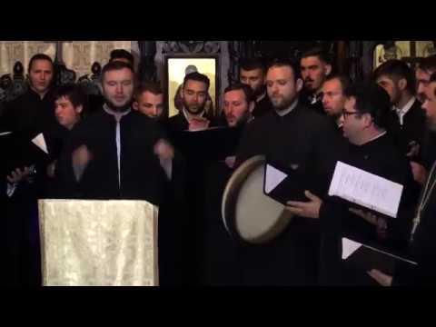 Grupul Bizantin “Sf. Ierarh Vasile cel Mare”