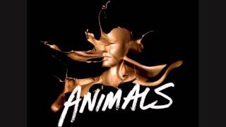 Kids In Glass Houses - Animals