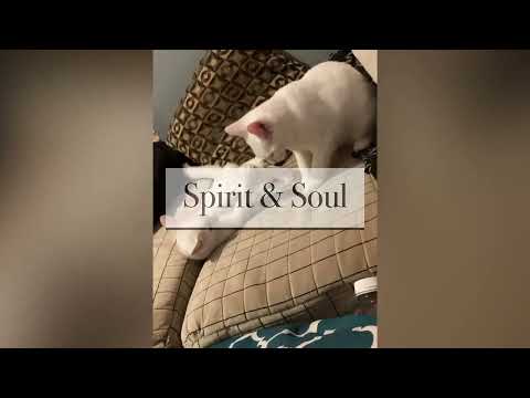 ARTIST LUANN  AIRHART