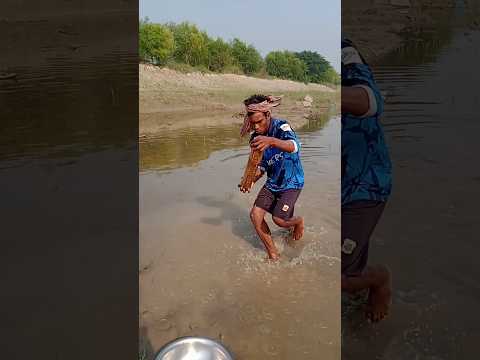 “Watch the Incredible Device Fishing Technique” #fishing #villagefishing #riverfishing #shorts