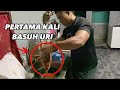Abang Sado Basuh Uri | Takut Darah Woo 😥