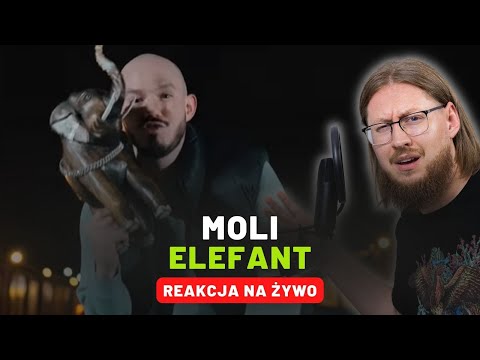 Moli "ELEFANT" | REAKCJA NA ŻYWO 🔴