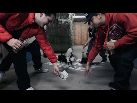 9ineNiko x J Blanco - "Money On My Mind"