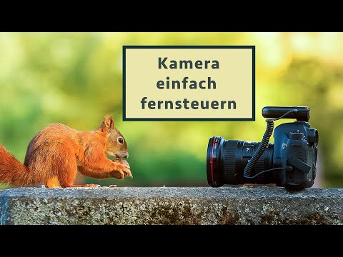 Weitwinkel-Fotos von Tieren durch Fernsteuerung der Kamera - ganz easy!