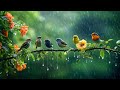 RESTORATION OF THE NERVOUS SYSTEM Gentle Music Calms The Nervous System And Pleases The Soul