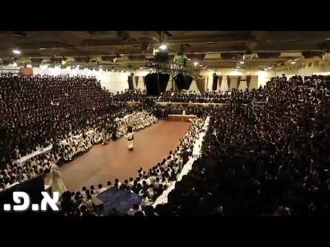 Sanz Wedding Tammuz 5784 Mitzvah Tantz (2)