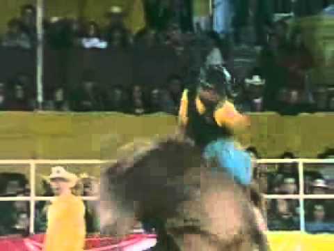 Rodolfo Alves Rodrigues vs Contra Tempo - Cia Tholinha e Poubel - 90,00