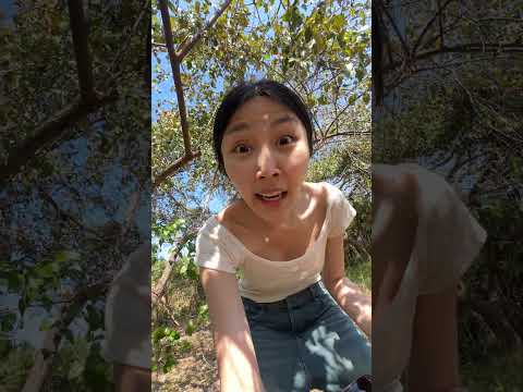 ก็ฉี่อยู่ ￼