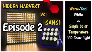 Hidden Harvest vs Sansi | Single vs Mixed Color Temperature Grow Lights | EP2