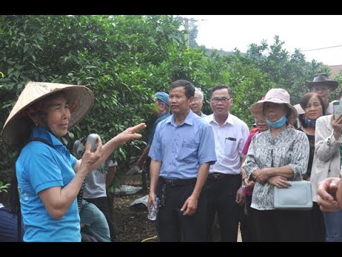 Hội Làm vườn và Trang trại tỉnh Thanh Hoá tổ chức cho hội viên tham quan trang trại sinh thái hữu cơ ở thị xã Bỉm Sơn