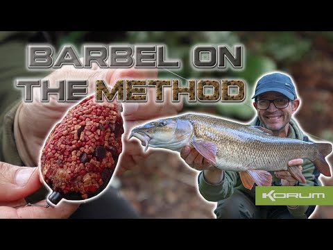 Barbel On The Method Feeder