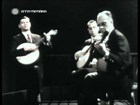 A moda das tranças pretas - Vicente da Câmara
