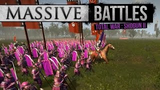 Battle of the Rainbow Armies (Massive Battles)