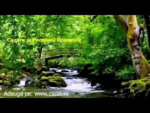 Cazare Brancovenesti, Mures - Cazat.ro