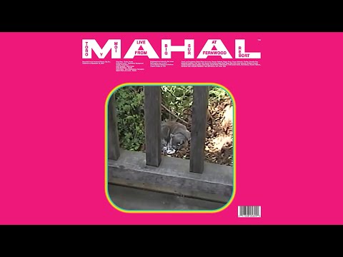 Video thumbnail for Postman (Live)