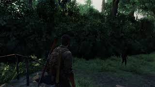 THE LAST OF US