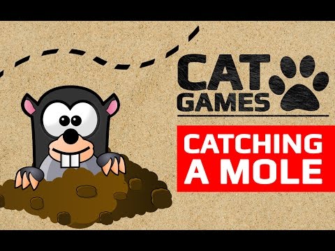 CAT GAMES - CATCHING A MOLE (ENTERTAINMENT VIDEOS FOR CATS TO WATCH) 60FPS