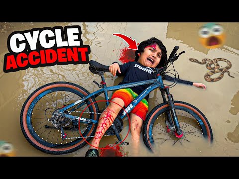 anasalivlogsx and Anas Ali Vlogs 