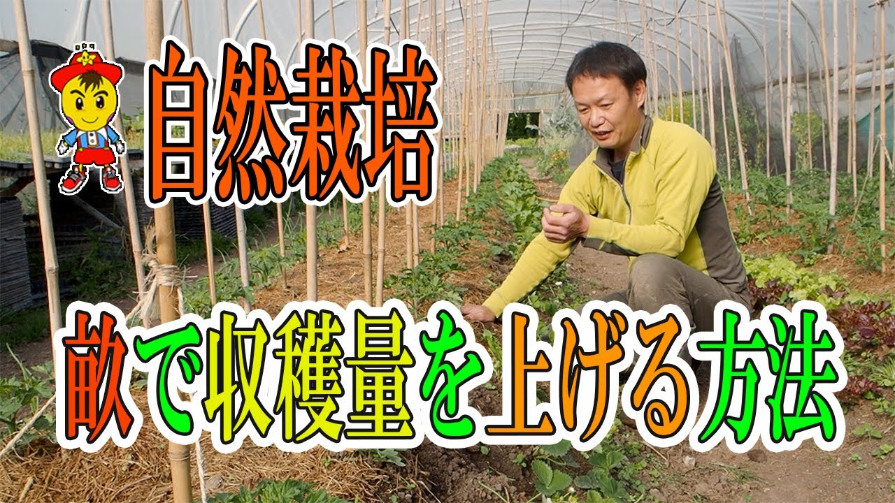 自然栽培における畝作りの利点と欠点|斜面の活用法と2人で行う楽な畝上げの工夫